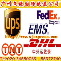 一站式指南 國(guó)際快遞查詢、公司選擇與廣州貨物進(jìn)出口全解析