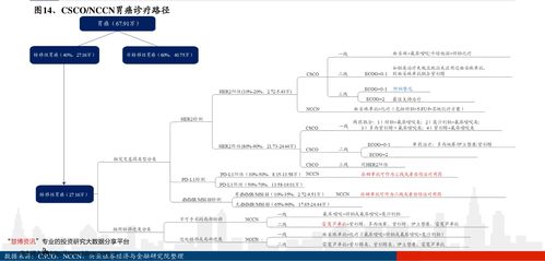 金財與中科金財（002657） 探索貨物進(jìn)出口業(yè)務(wù)的戰(zhàn)略布局與市場前景